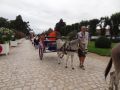 fete 2015 (92).JPG